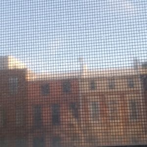 Meet your Posher, Zabeina